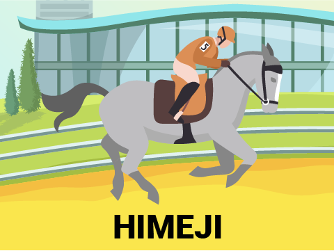 Horse Racing Japan - Live Stream