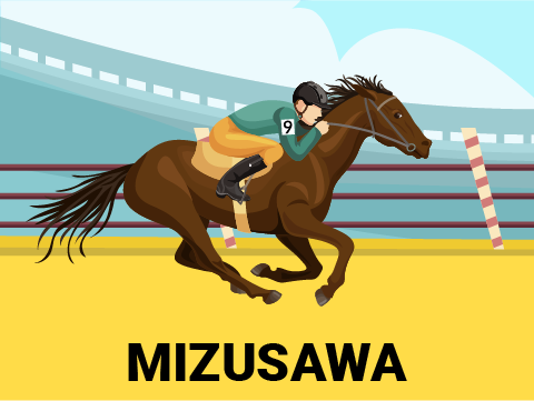 Horse Racing Japan - Live Stream