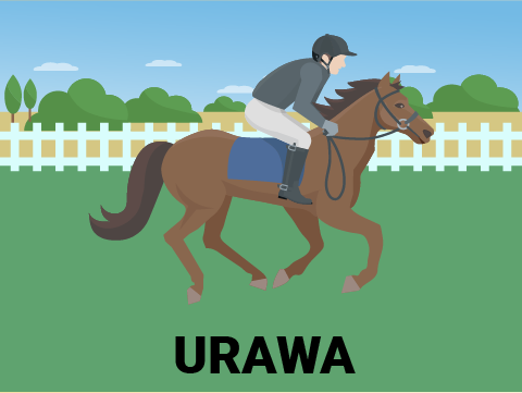 Horse Racing Japan - Live Stream